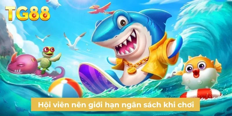 Hội viên nên giới hạn ngân sách khi chơi
