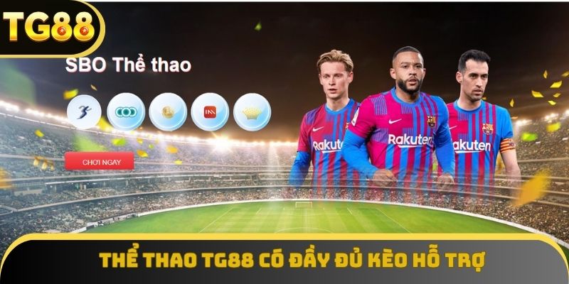 Thể thao TG88 có đầy đủ kèo hỗ trợ cược live