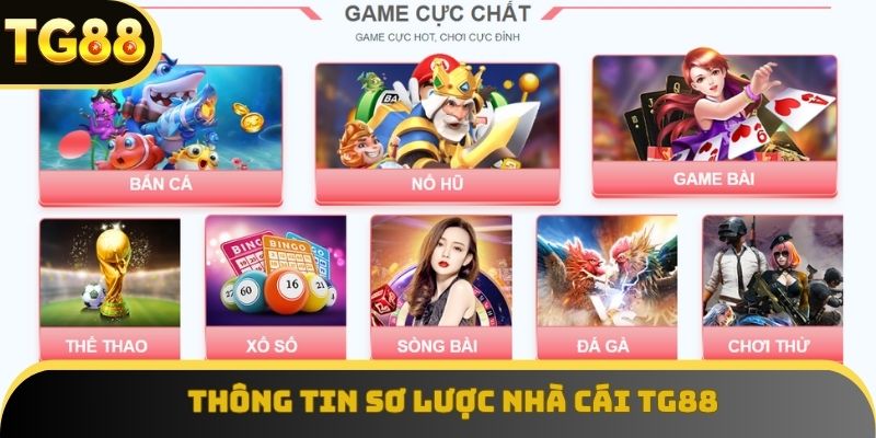 Các thông tin sơ lược, quan trọng khi tham gia nhà cái TG88